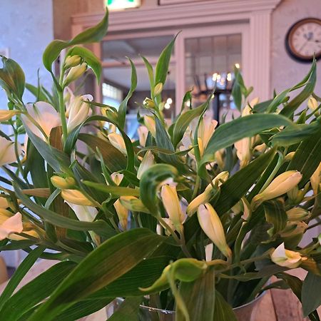 Hotel Restaurant Boven Groningen Delfzijl Zewnętrze zdjęcie