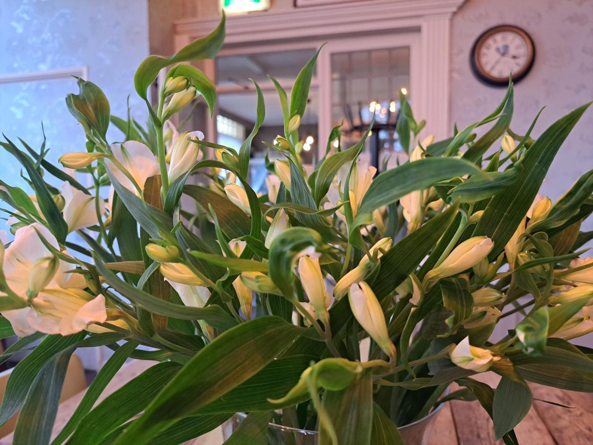 Hotel Restaurant Boven Groningen Delfzijl Zewnętrze zdjęcie
